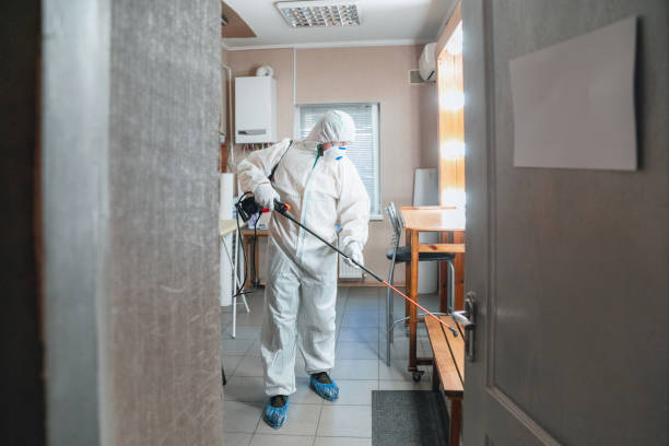 Best Post-Construction Mold Inspection  in Cape May, NJ