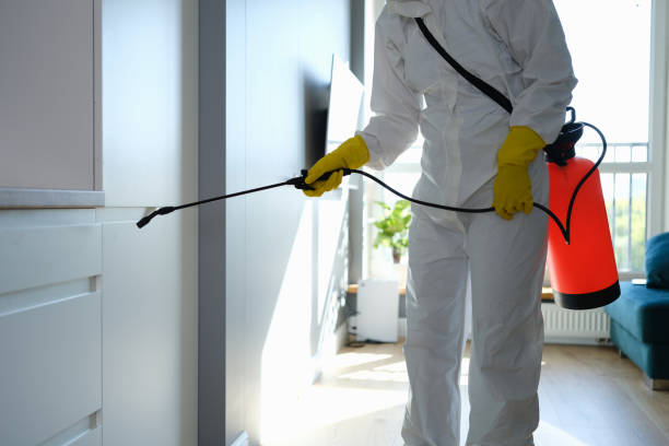 Biohazard Mold Removal in Cape May, NJ