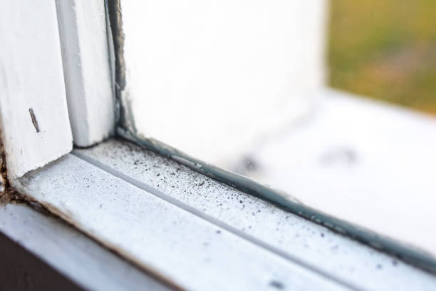 Best Airborne Mold Testing  in Cape May, NJ