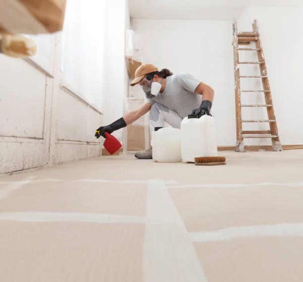 Best Mold Odor Removal Services  in Cape May, NJ