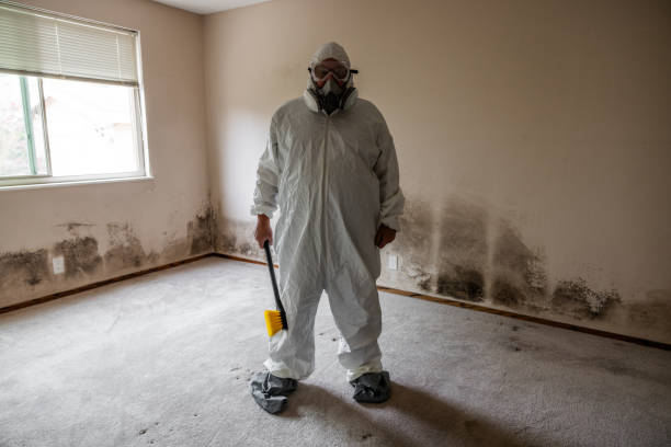 Best Mold Remediation for Healthcare Facilities  in Cape May, NJ